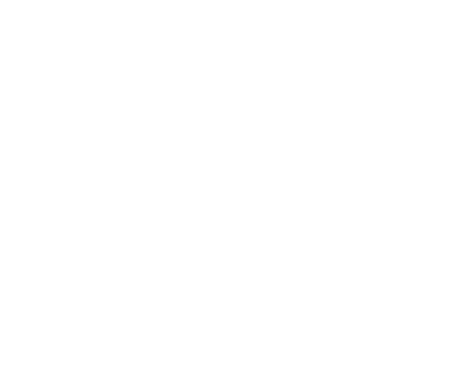 THE ONE